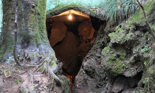 Eco Cave Garden