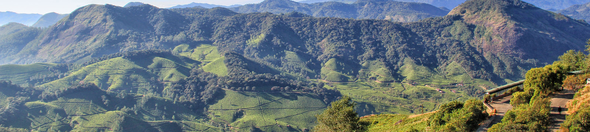 Eravikulam National Park