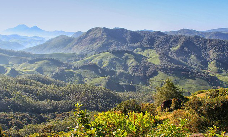 Eravikulam National Park