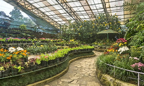 Flower Exhibition Centre