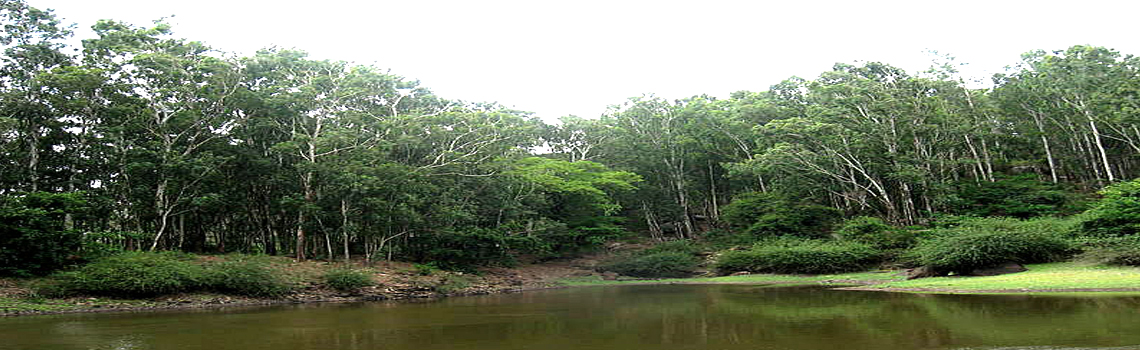 Gangotri Lake