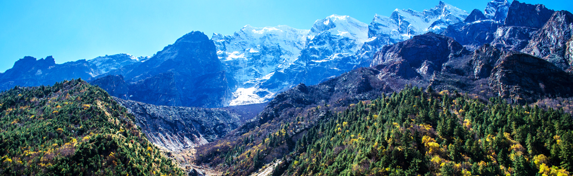 Gangotri National Park