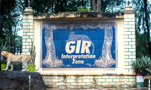 Gir Interpretation Zone