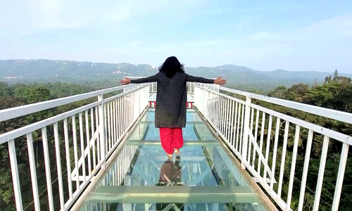 Glass Bridge Madikeri