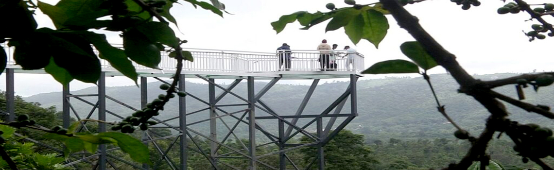 Glass Bridge Madikeri