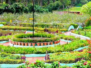 Government Botanical Garden