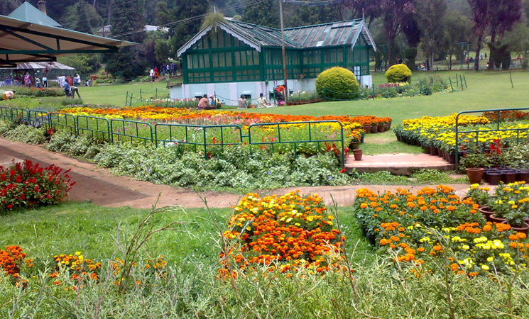 Government Botanical Garden