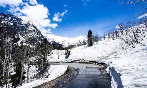 Gulaba  Manali