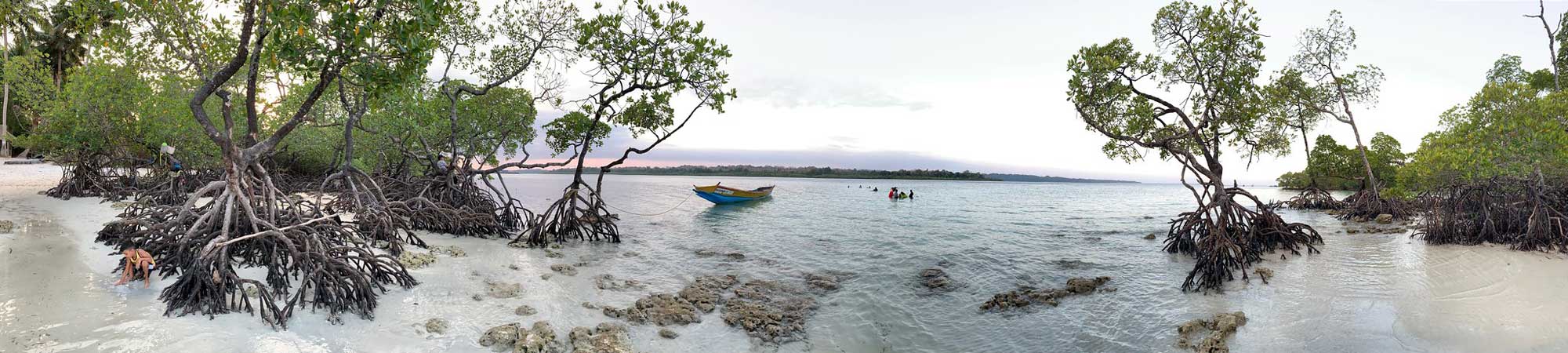 Havelock Island