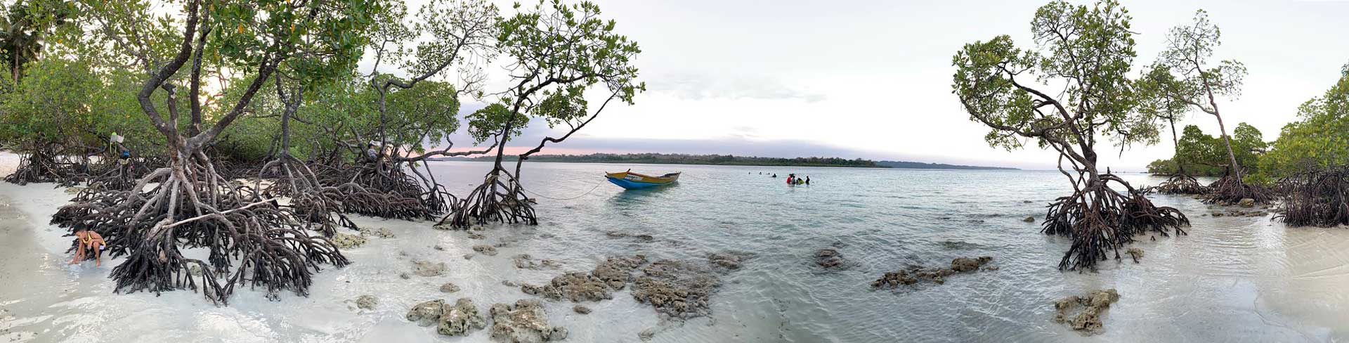 Havelock Island