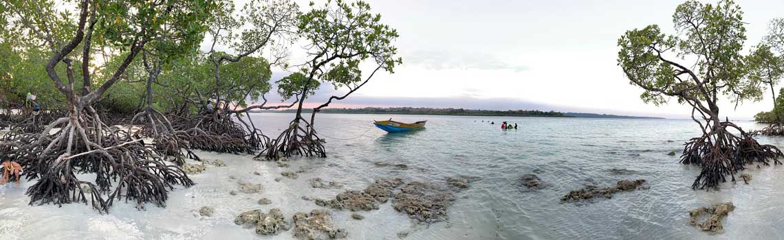 Havelock Island