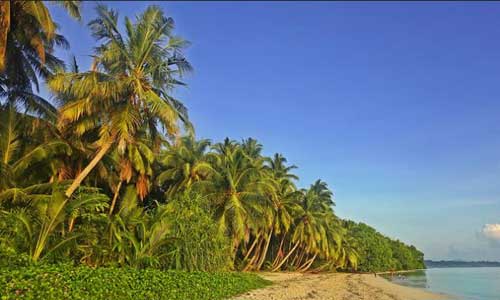 Havelock Island