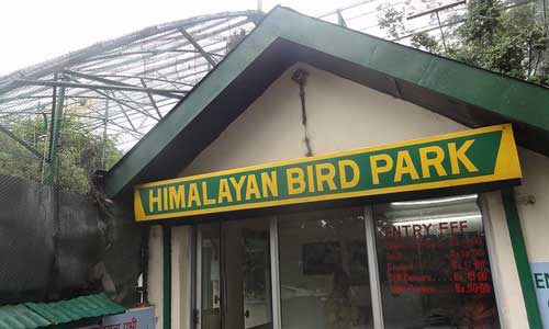 Himalayan Aviary/Himalayan Bird Park