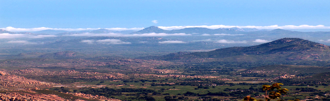 Horsley Hills View Point