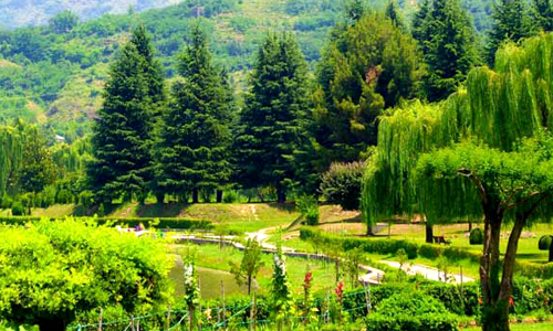 Jawaharlal Nehru Botanical Garden