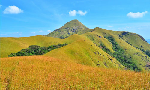 Jenukallu Gudda