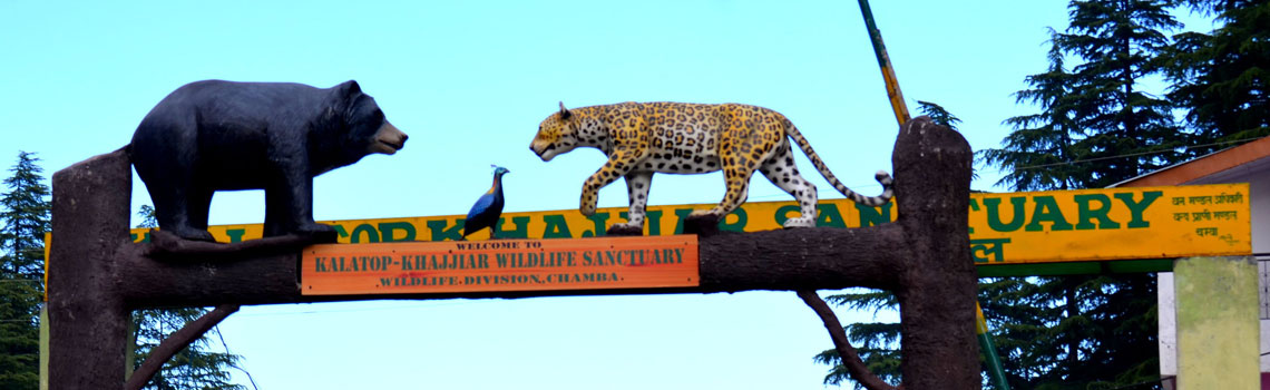 Kalatop Khajjiar Sanctuary