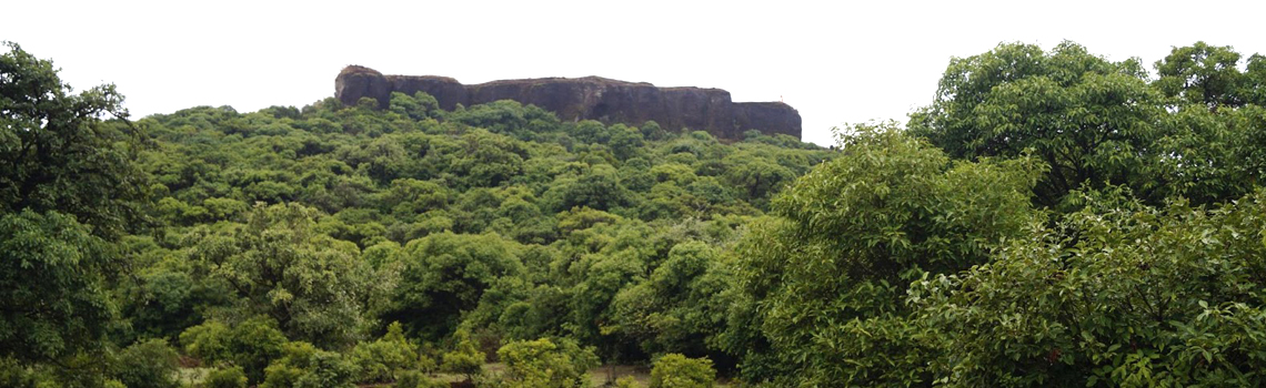 Kamalgad Fort