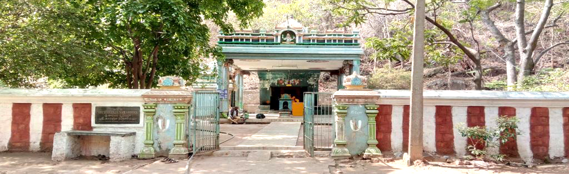 Karanja Narasimha Temple