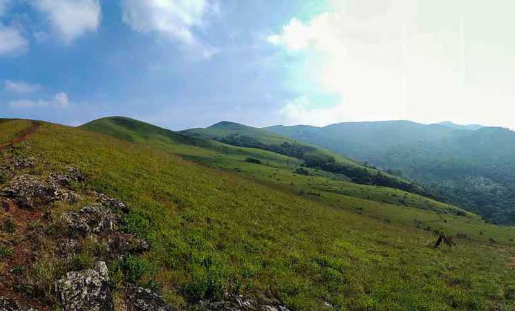 Kavikal Gandi Viewpoint