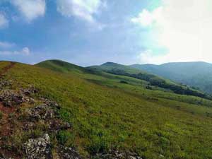 Kavikal Gandi Viewpoint