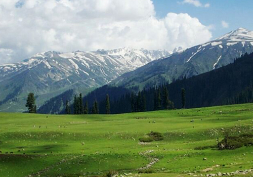 khilanmarg