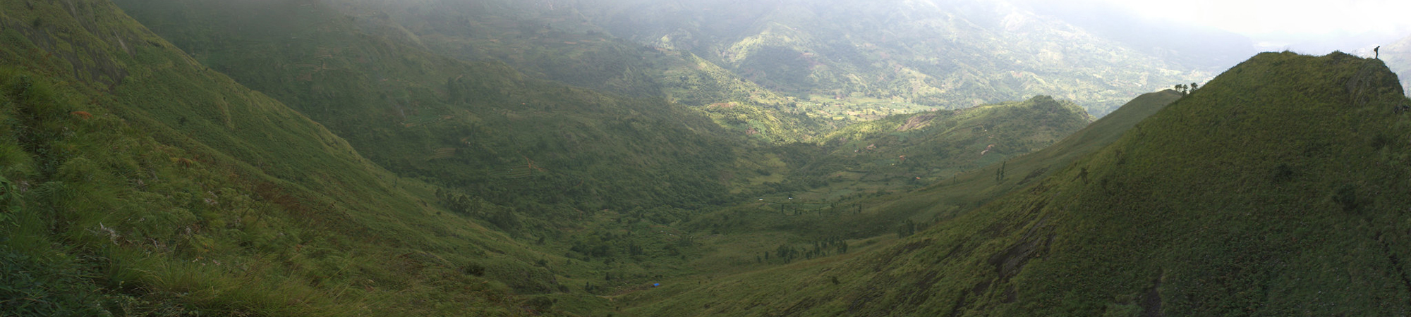 Kodai View