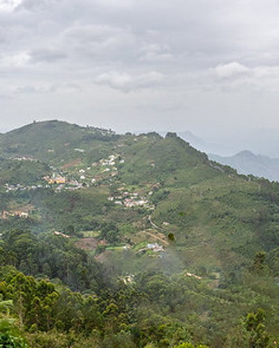 Kodai View