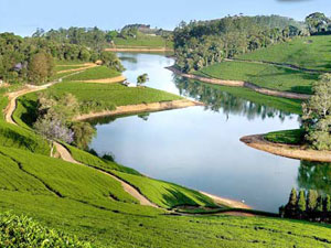 Kodaikanal