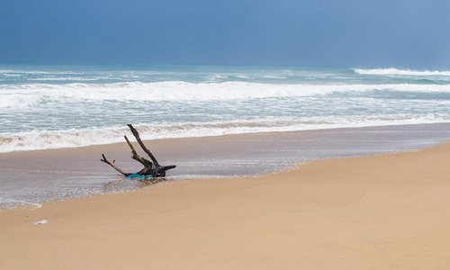 Konark beach