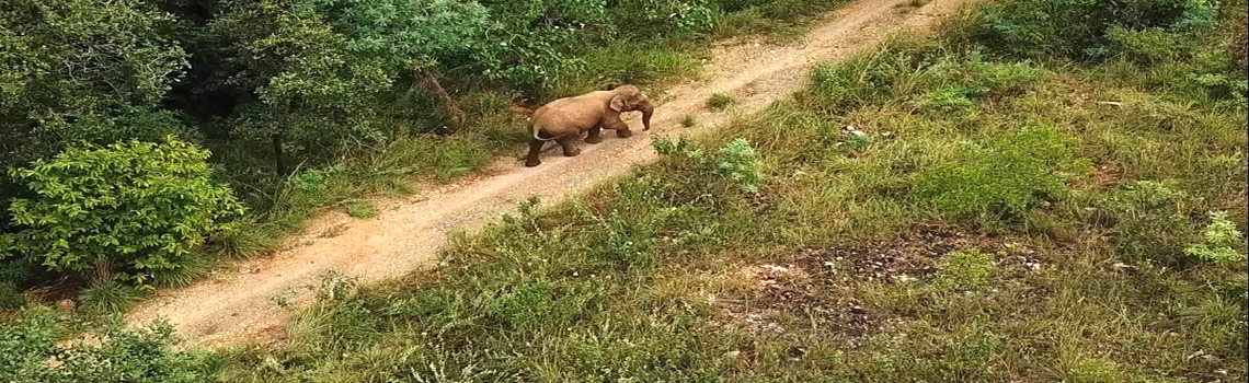 Koundinya Wildlife Sanctuary