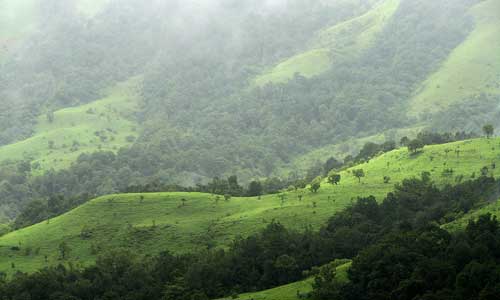 Kudremukh National Park