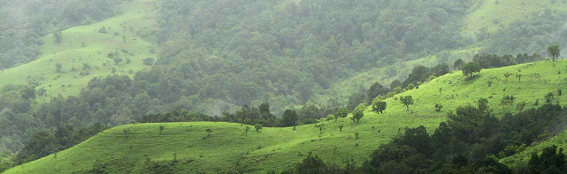 Kudremukh National Park