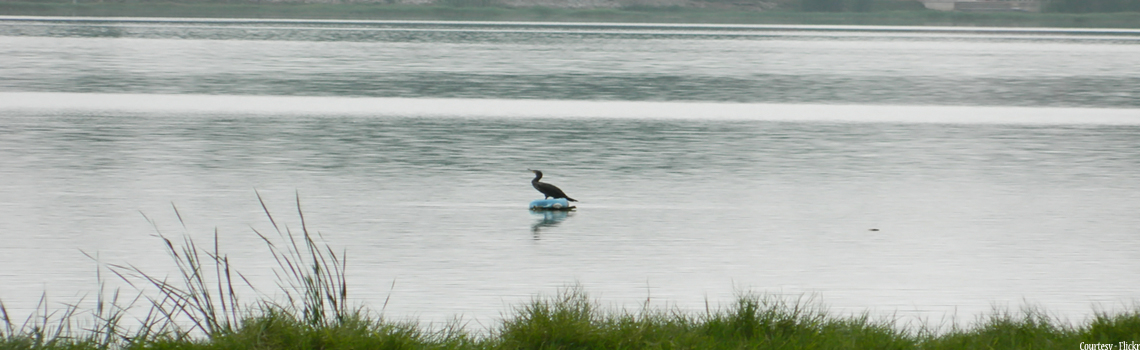 Kukkarhalli lake