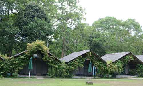 Kulgi Nature Camp