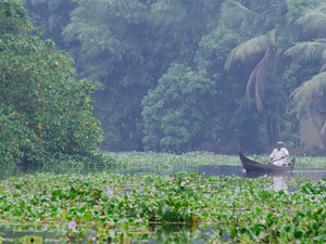 Kumarakom