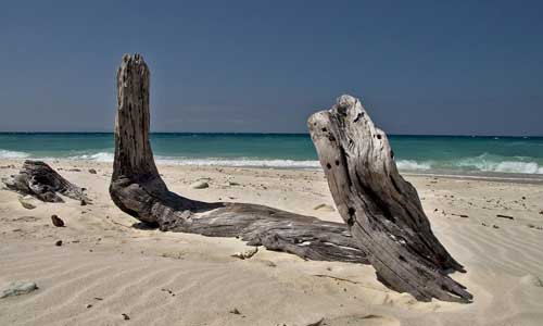 Laxmanpur Beach