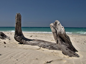 Laxmanpur Beach