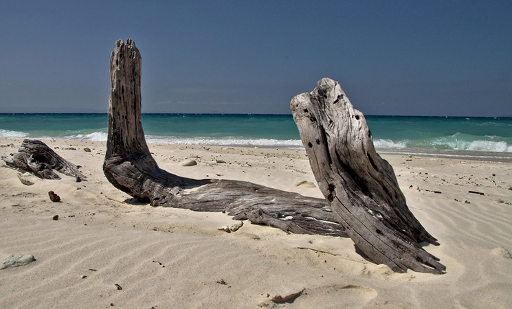 Laxmanpur Beach