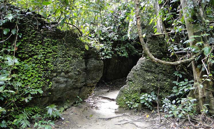 Limestone caves