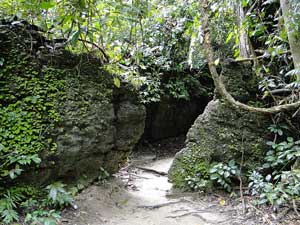 Limestone caves