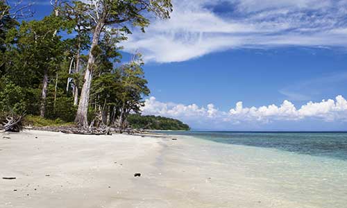 Little Andaman