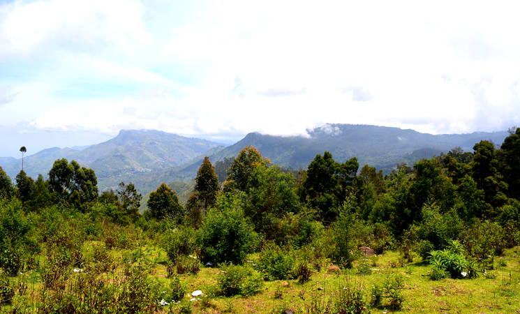 Madurai Hill station