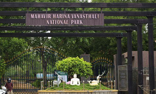 Mahavir Harina Vanasthali National Park