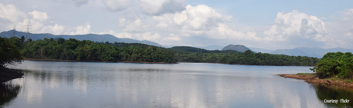 Malankara dam