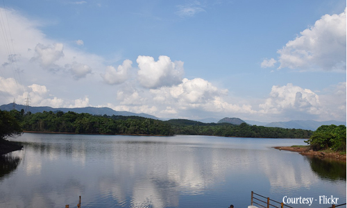 Malankara dam