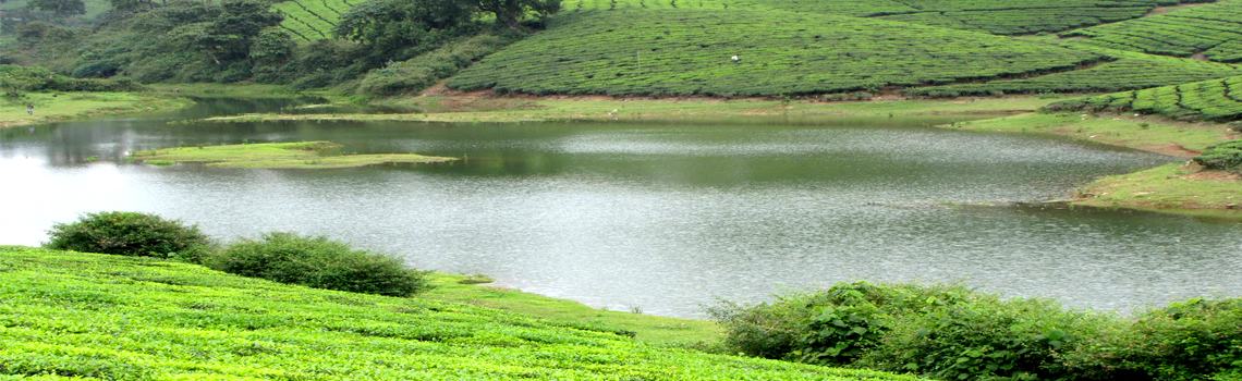 Manalar Dam