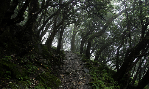 Mayali Pass Trek