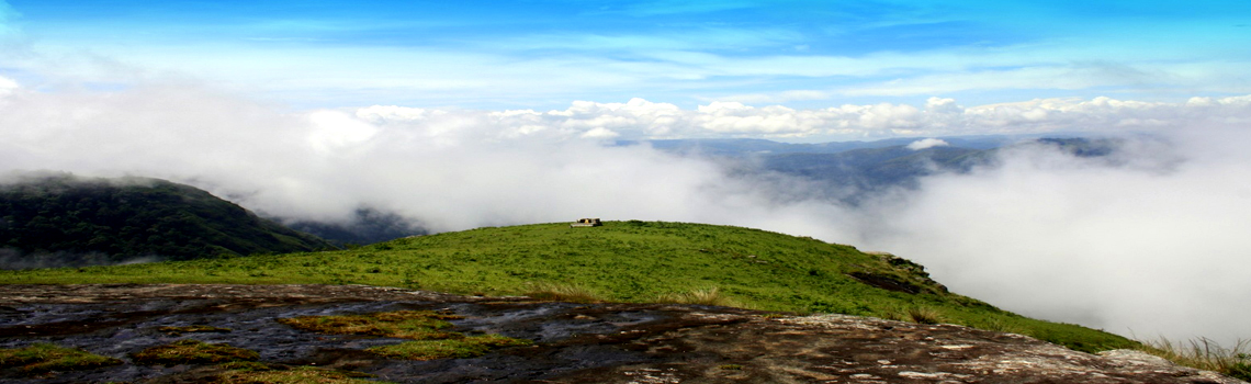 Megamalai View Point