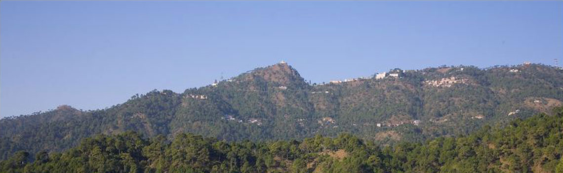 Monkey Point Kasauli